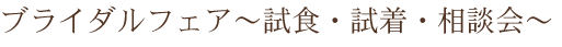 �u���C�_���t�F�A