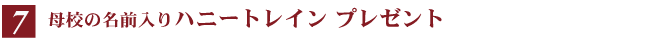 �����E�ݐ؃p�[�e�B�[���y�O���[�X�o���z�V�h�@������p�b�N