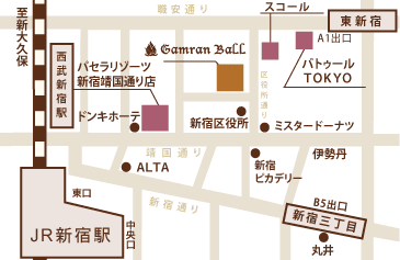 新宿 歓迎会 送別会 貸切宴会 パーティー会場グレースバリ新宿店 アクセスマップ